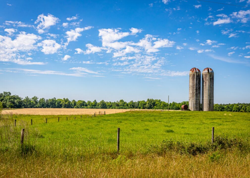 Georgia: Tattnall